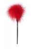 Piórko Feather Tickler Red - B - Series Fetish